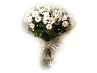 comprar Ramo de Margaritas