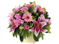 comprar Centro formal