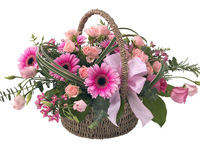 comprar Centro Variado